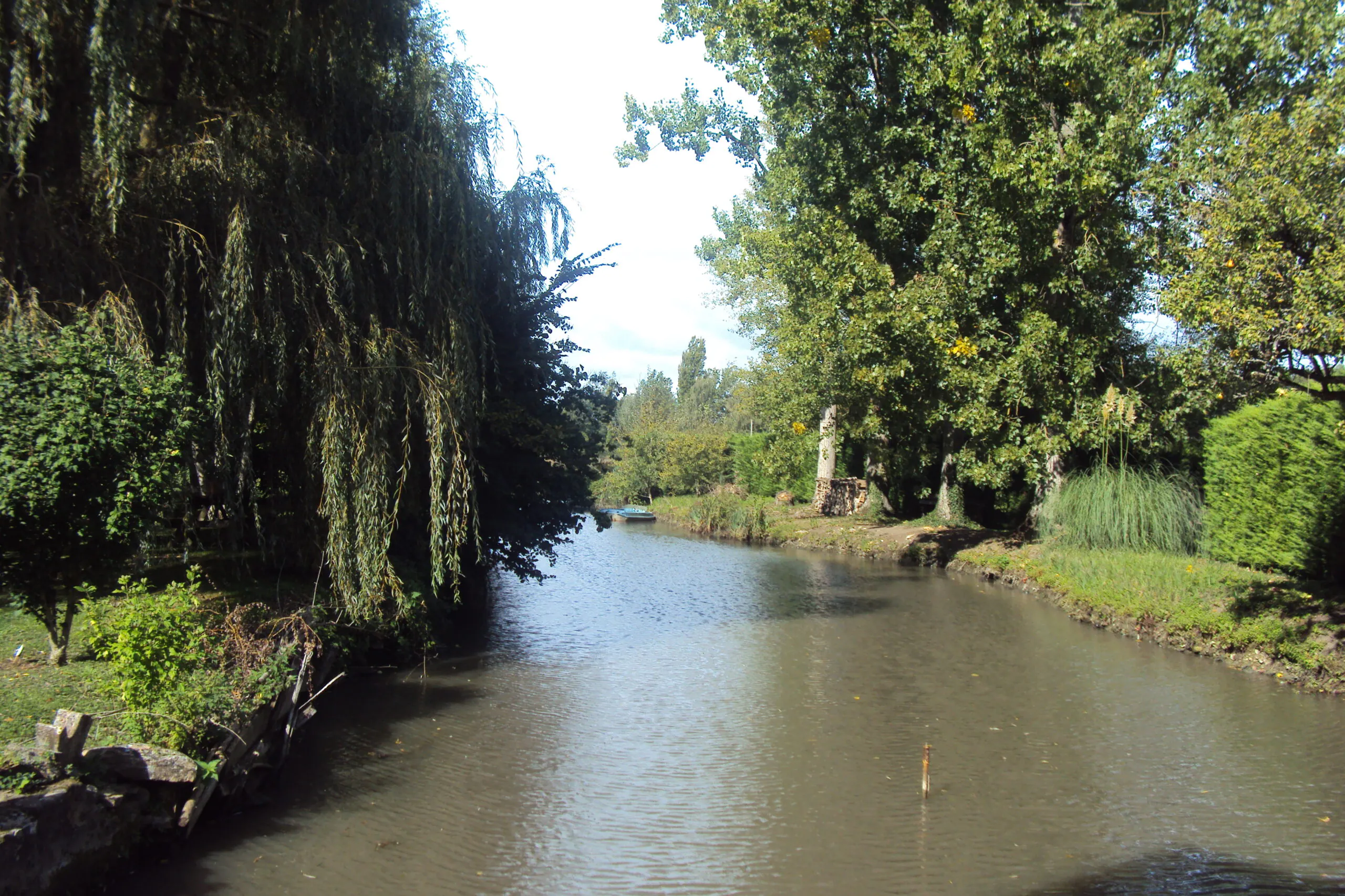 Entre Envigne et Courance Scorbé-Clairvaux Nouvelle-Aquitaine