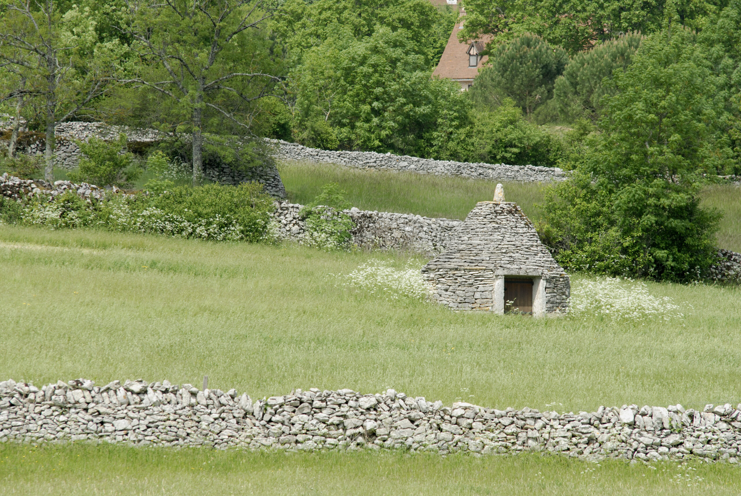 Le Sentier de la Brebis Espédaillac Occitanie