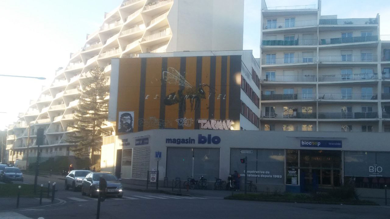 father fucker rennes