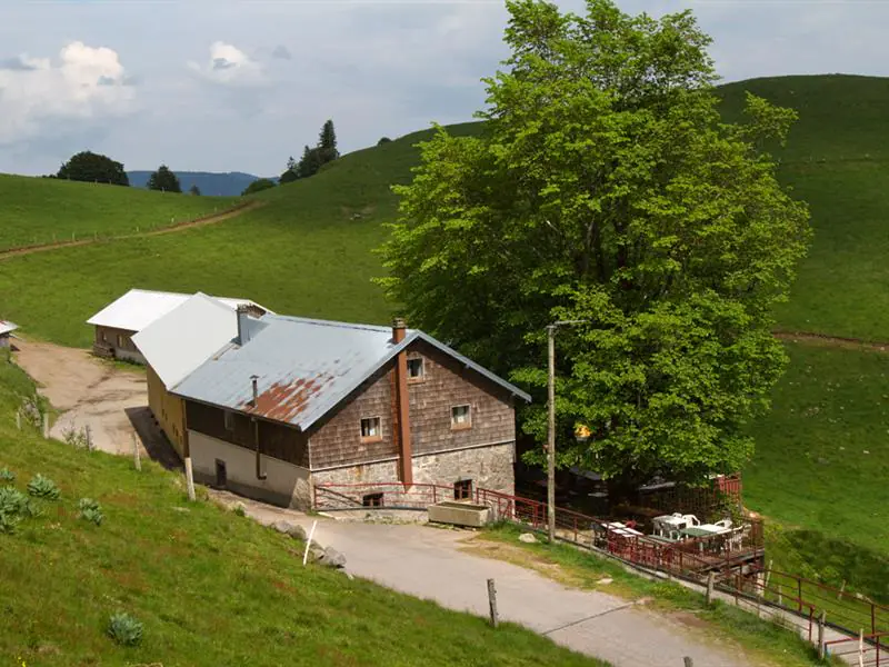 Balade ferme auberge Felsach vers un sanctuaire de nature Fellering Grand Est