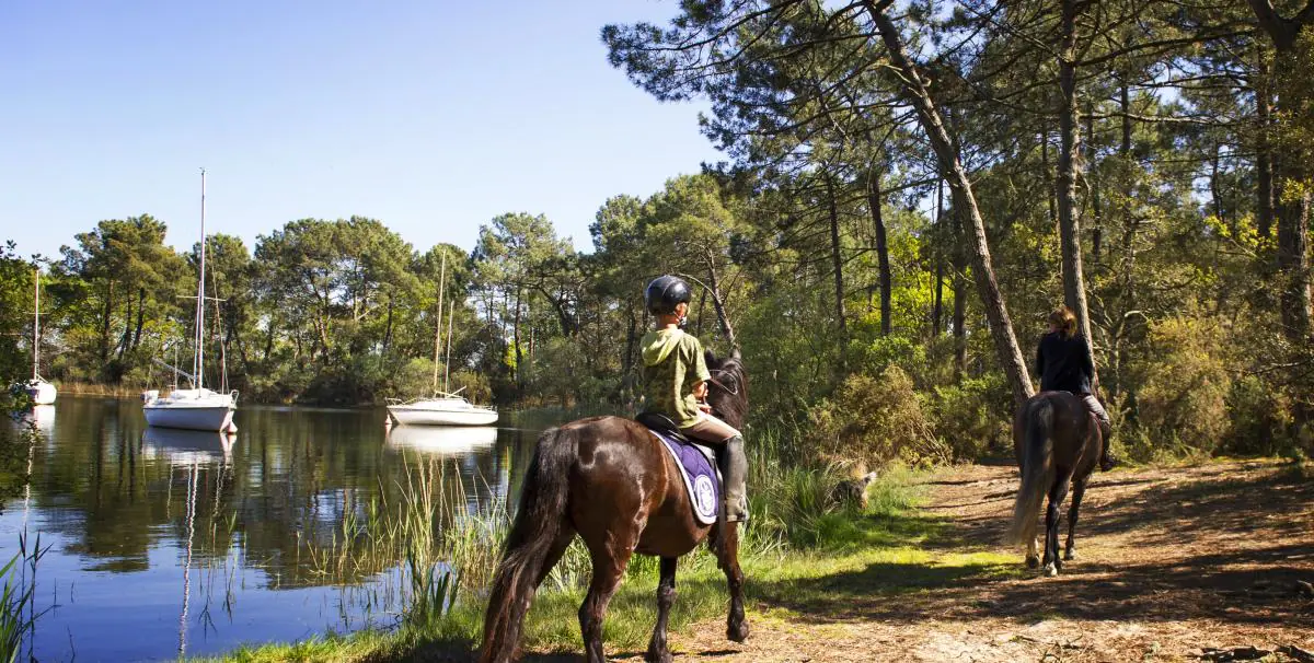 Hourtin la réserve des dunes et marais à cheval Hourtin Nouvelle-Aquitaine