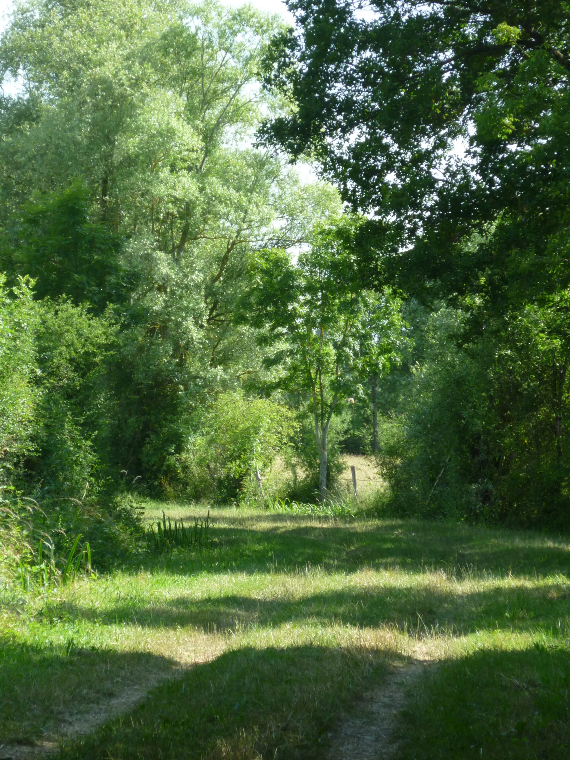 Le haut de la côte Ids-Saint-Roch Centre-Val de Loire