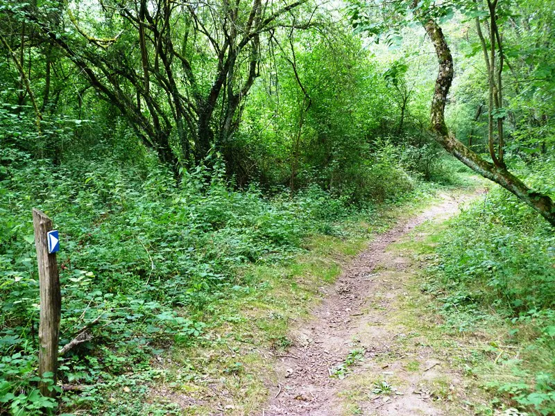 Stevenson | sentier autour de Châtillon-sur-Loire Châtillon-sur-Loire Centre-Val de Loire