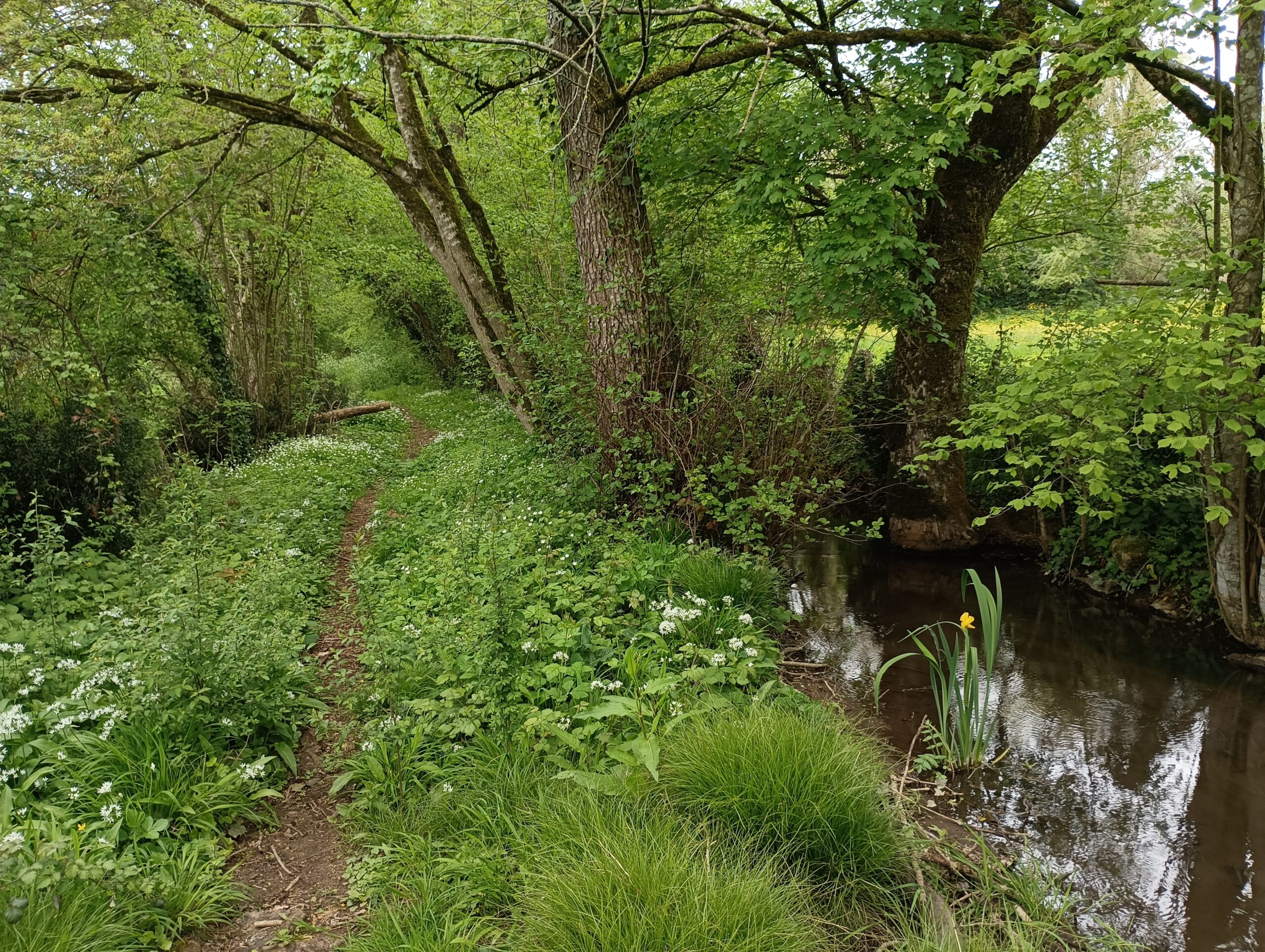 Les Bois de Celles Celles-sur-Belle 7.7 kms Celles-sur-Belle Nouvelle-Aquitaine