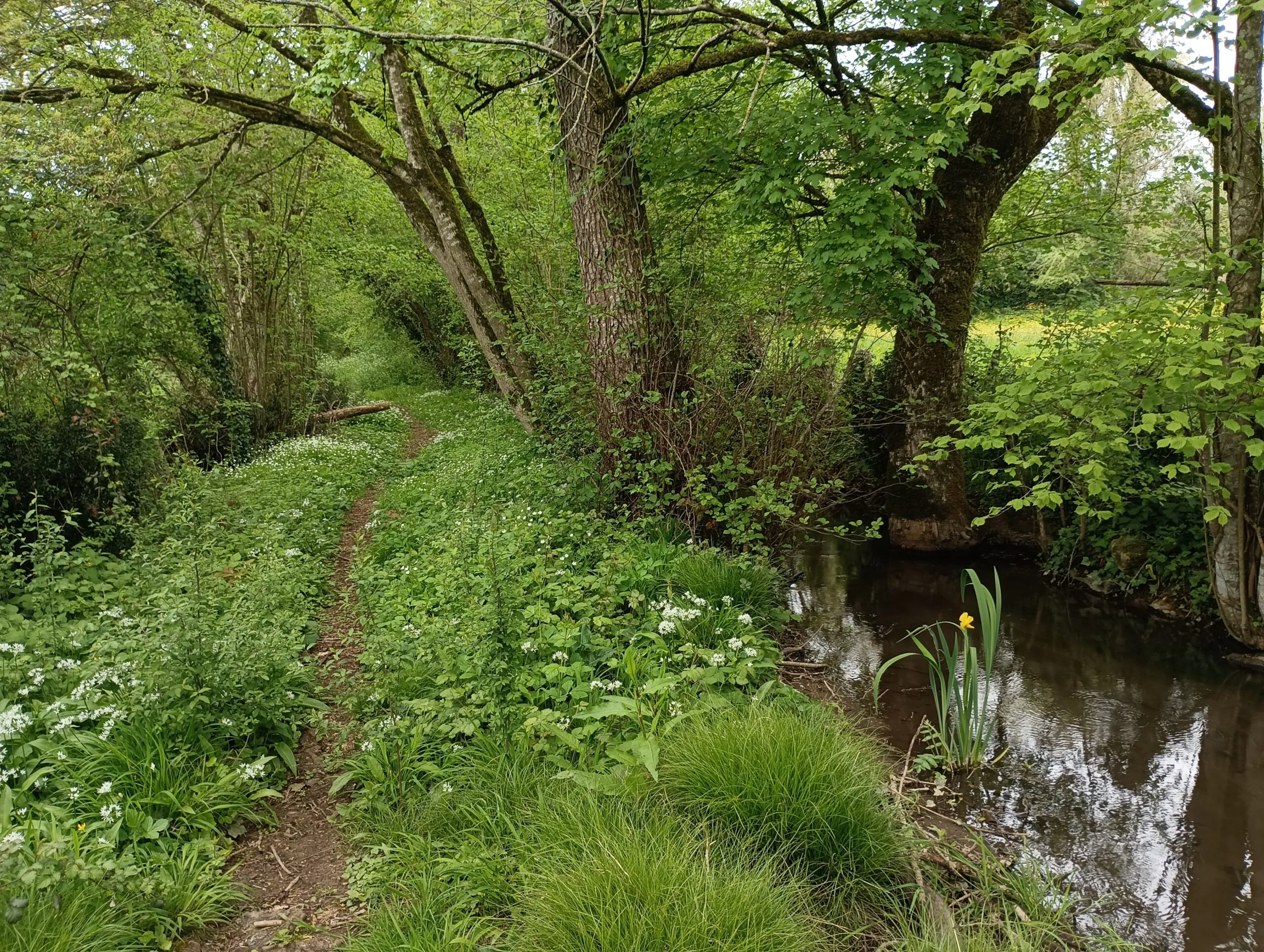 Les Bois de Celles Celles-sur-Belle 7.7 kms Celles-sur-Belle Nouvelle-Aquitaine