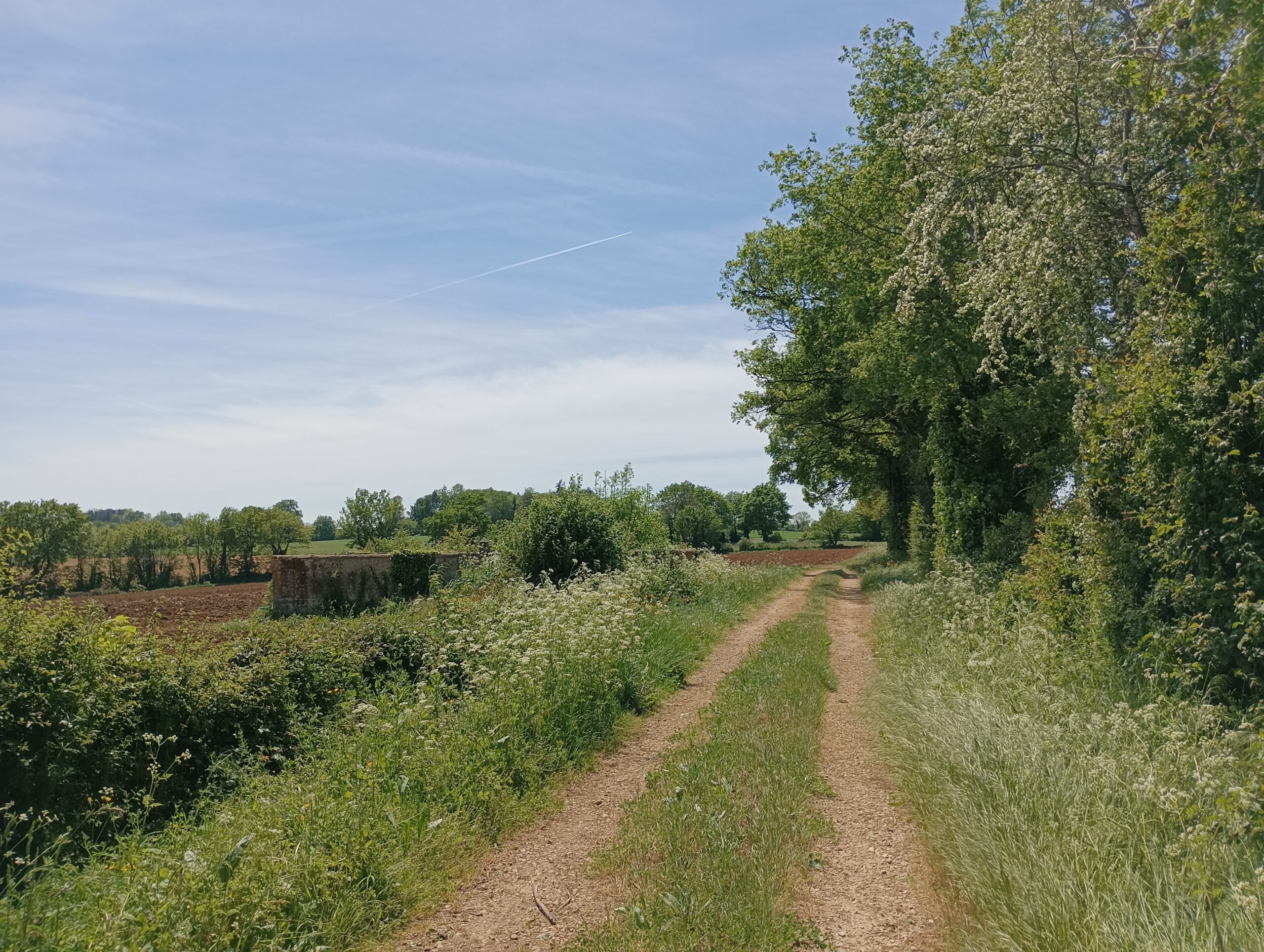 Le circuit des Tuileries Argentières Prailles-La Couarde Nouvelle-Aquitaine