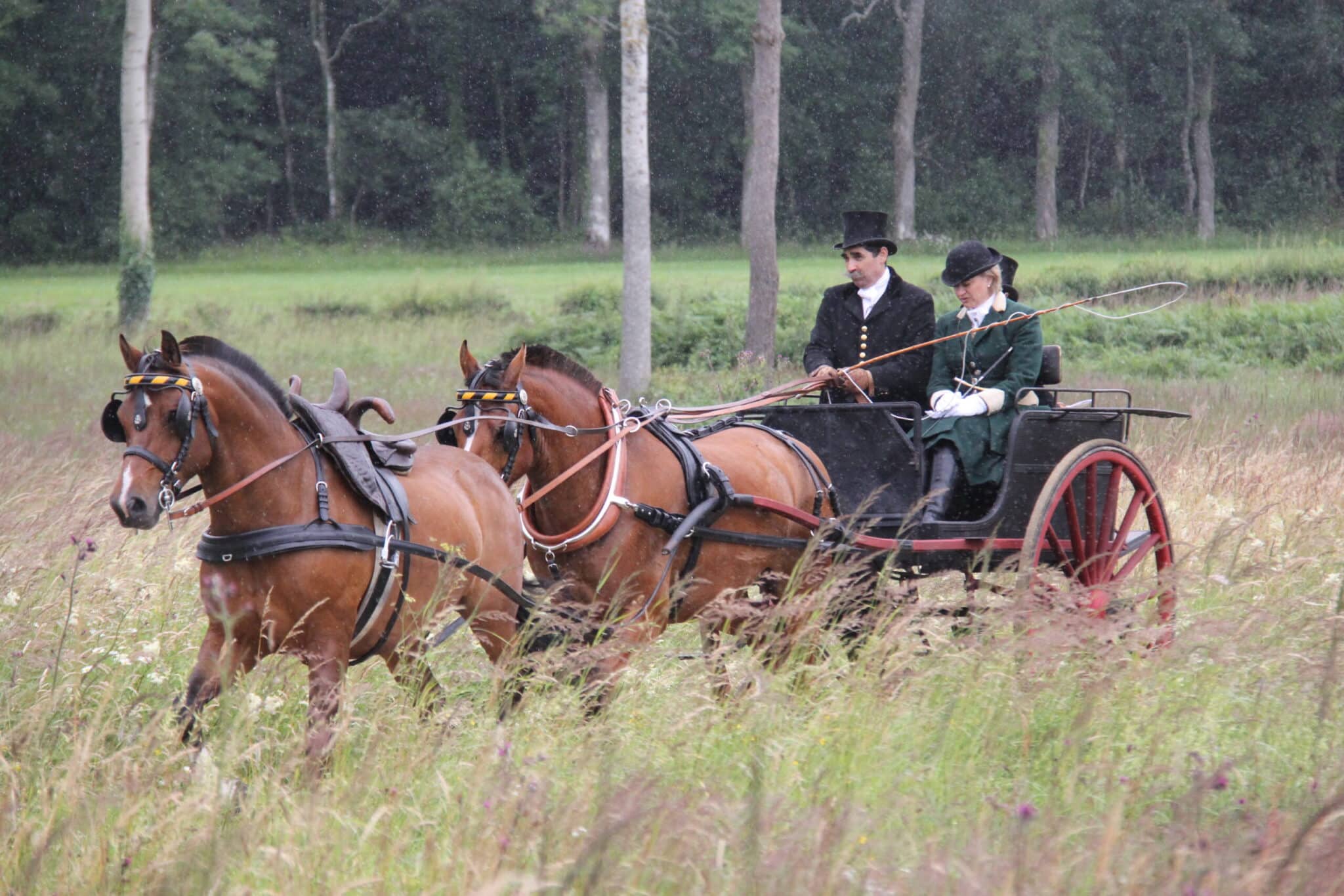 Attelages Alain Bahuchet Grémévillers Hauts-de-France