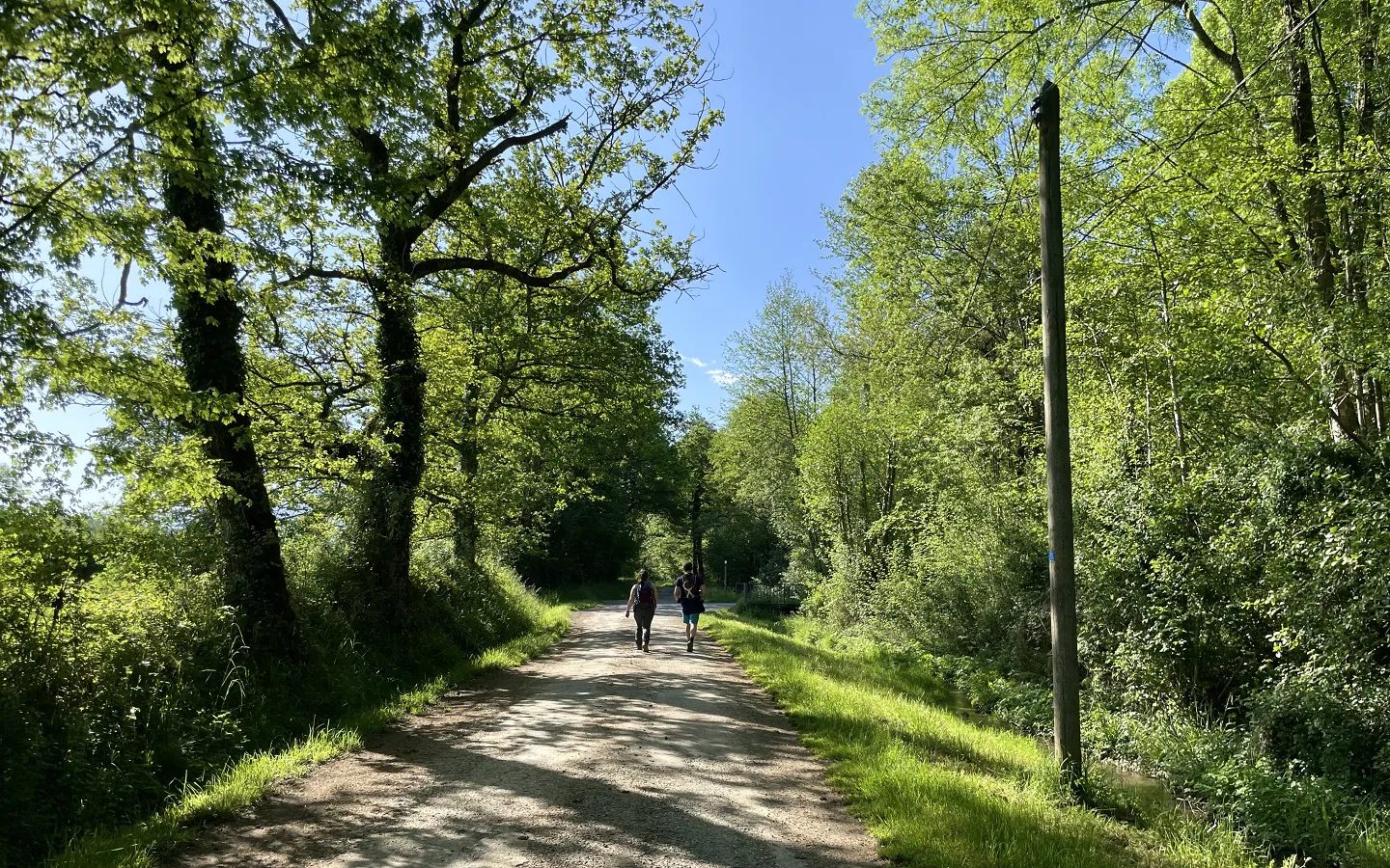 N°86 Richette Ogeu-les-Bains Nouvelle-Aquitaine