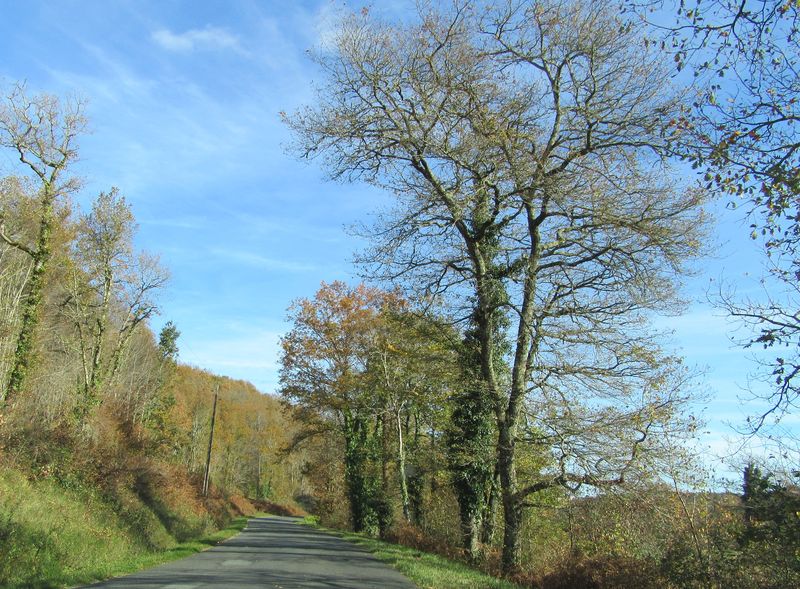 Circuit à vélo "Au Pays des Croquants" Vergt Nouvelle-Aquitaine