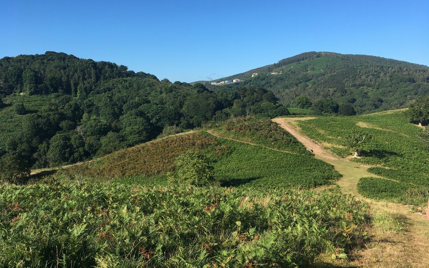 Sentier des mulets / Mandobidexka Trail Urrugne Nouvelle-Aquitaine