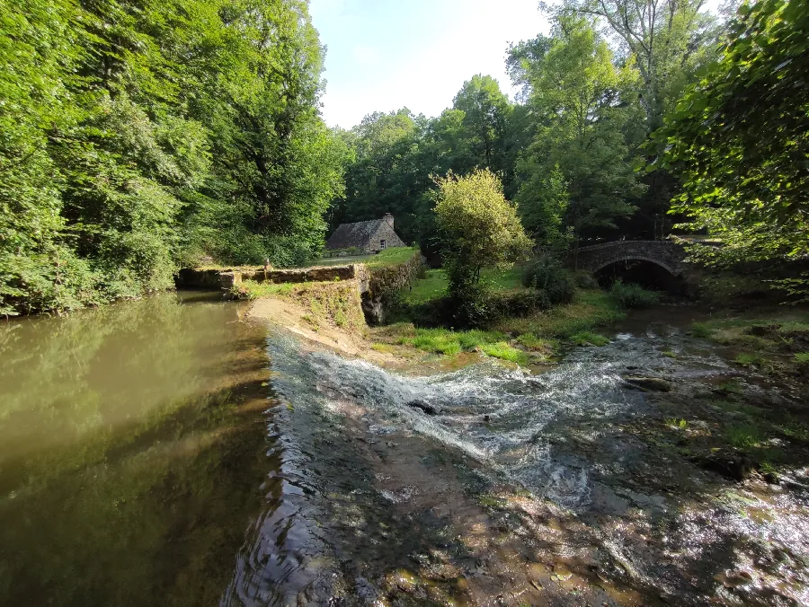 Balade autour de La Bastide l'Evêque et des Martinets du Lézert Le Bas Ségala Occitanie