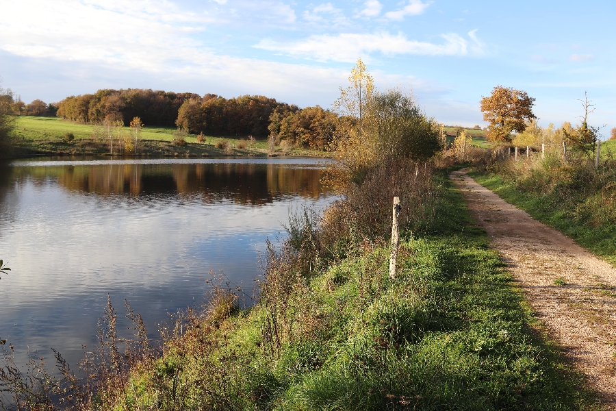 Lac de la Brienne ou de Planèzes (lâchers de truites) Luc-la-Primaube Occitanie