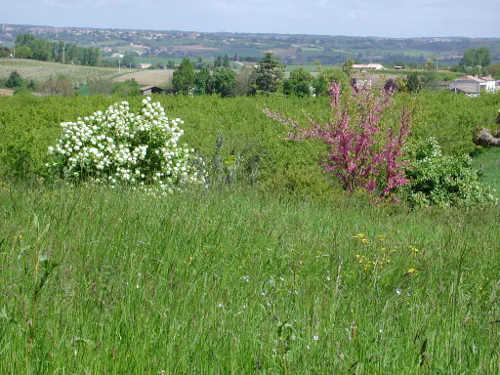 Lévignac-de-Guyenne