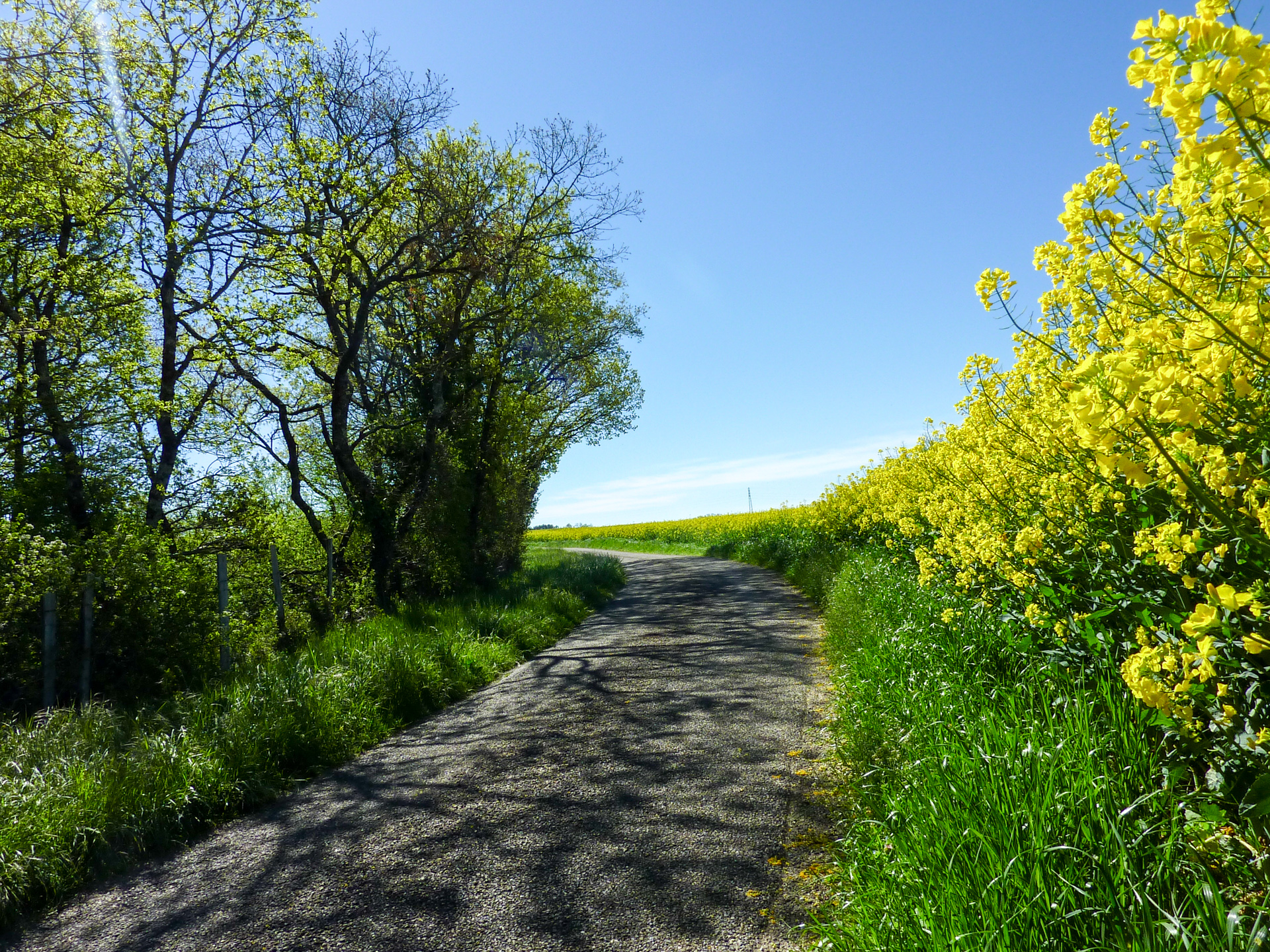 Sur la Route des Moulins Castelnau Montratier-Sainte Alauzie Occitanie