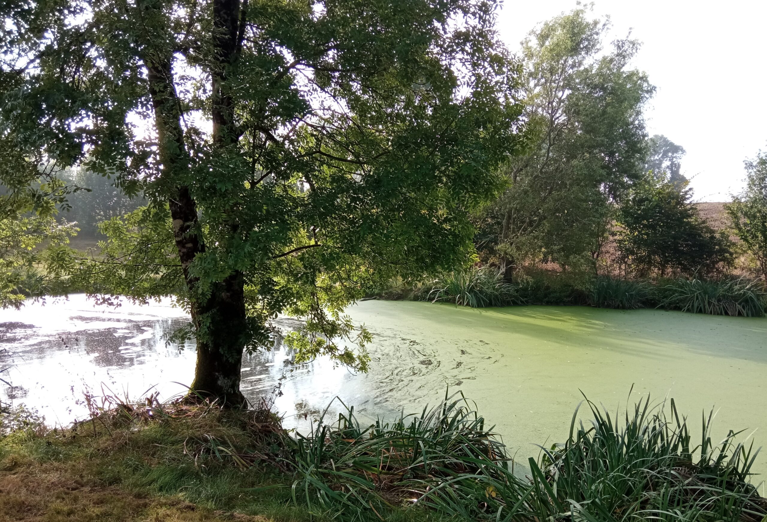 La Rand'eau Mazières-en-Gâtine Nouvelle-Aquitaine