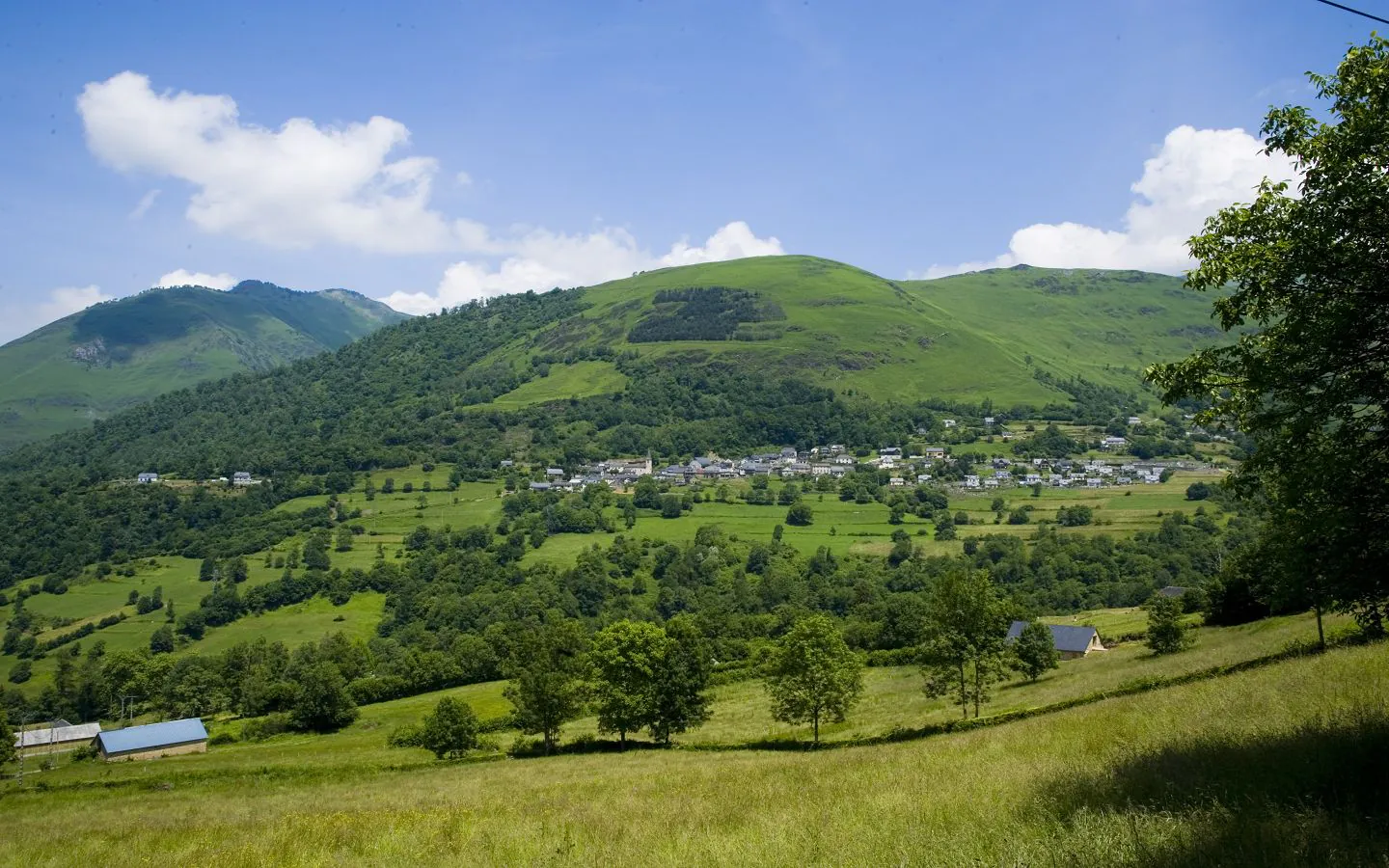 La Montagne verte Eaux-Bonnes Nouvelle-Aquitaine