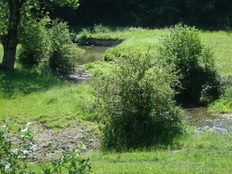 La Vallée de la Baize Rapilly Normandie