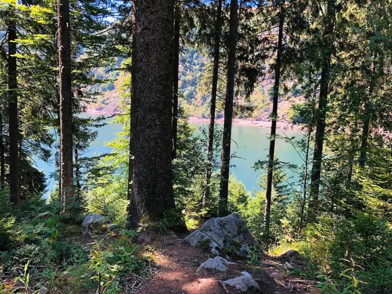 Circuit rando le petit tour du lac Blanc Orbey Grand Est