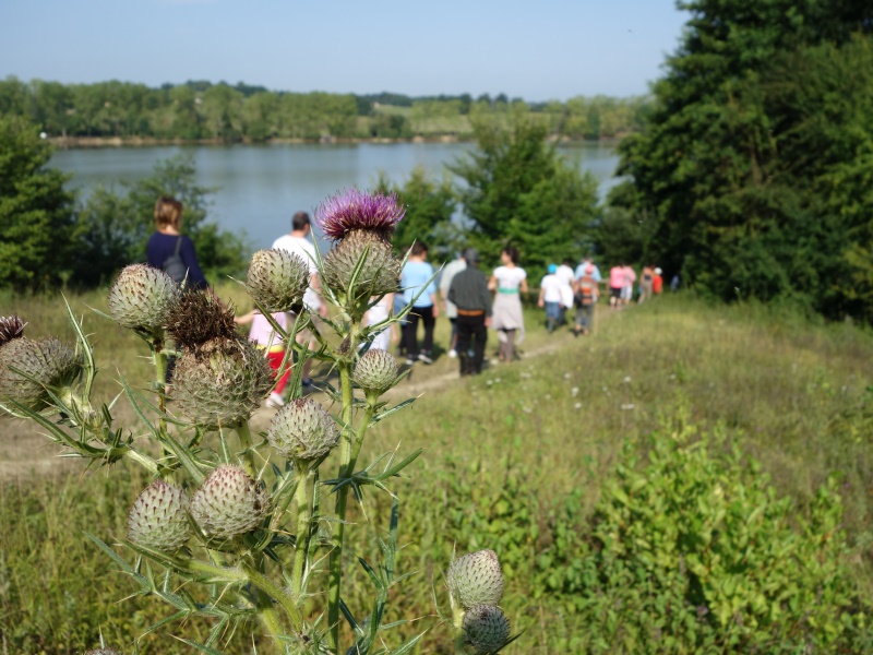 Parcours nature du lac de la Prade Bazas Nouvelle-Aquitaine