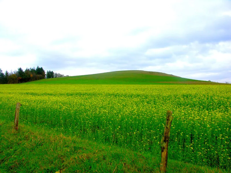 Le Mont chauve Souleuvre en Bocage Normandie