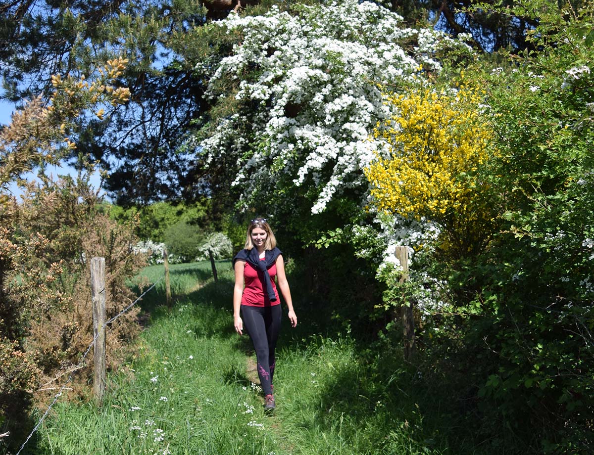 Le Mont Pinçon Les Monts d’Aunay Normandie Le Mont Pinçon Les Monts d'Aunay Normandie