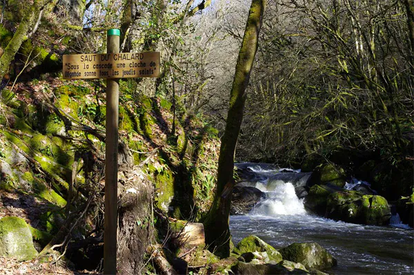 Sous les ombrages du Périgord Vert Nontron Nouvelle-Aquitaine