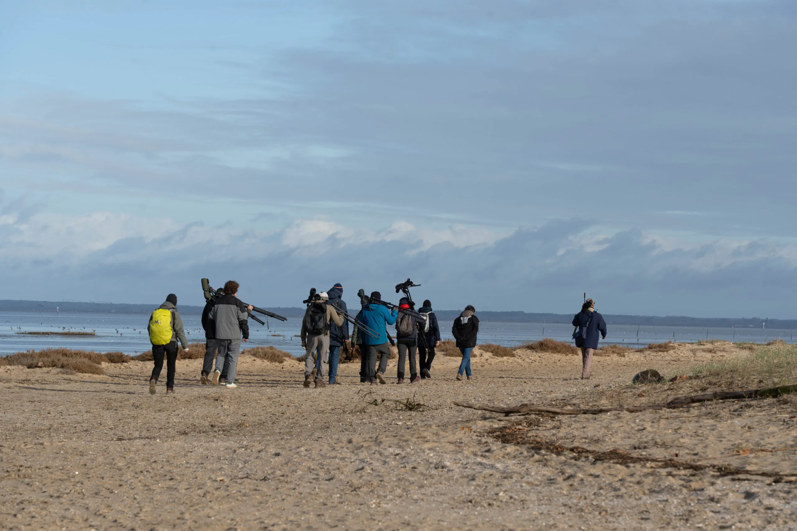 Formation aux oiseaux du littoral weekend oiseaux migrateurs