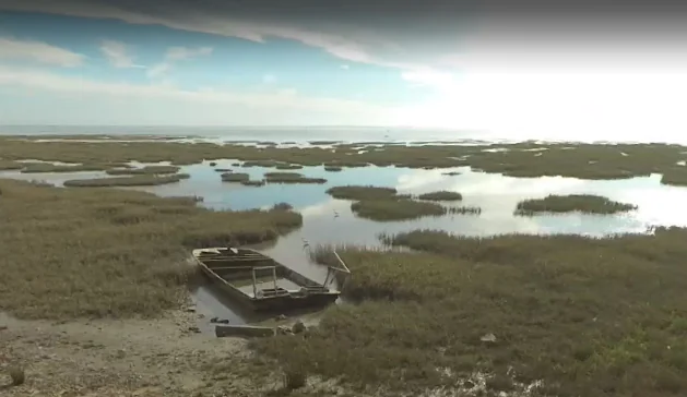 GRP Tour du Bassin d’Arcachon De Biganos à Lège en écomobilité Biganos Nouvelle-Aquitaine