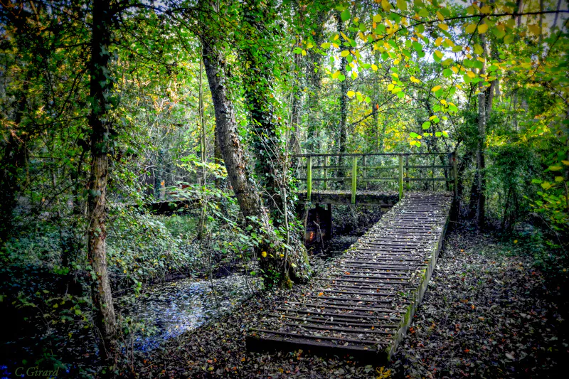 Promenade du Parc départemental des Courtils des Mauves Meung-sur-Loire Centre-Val de Loire