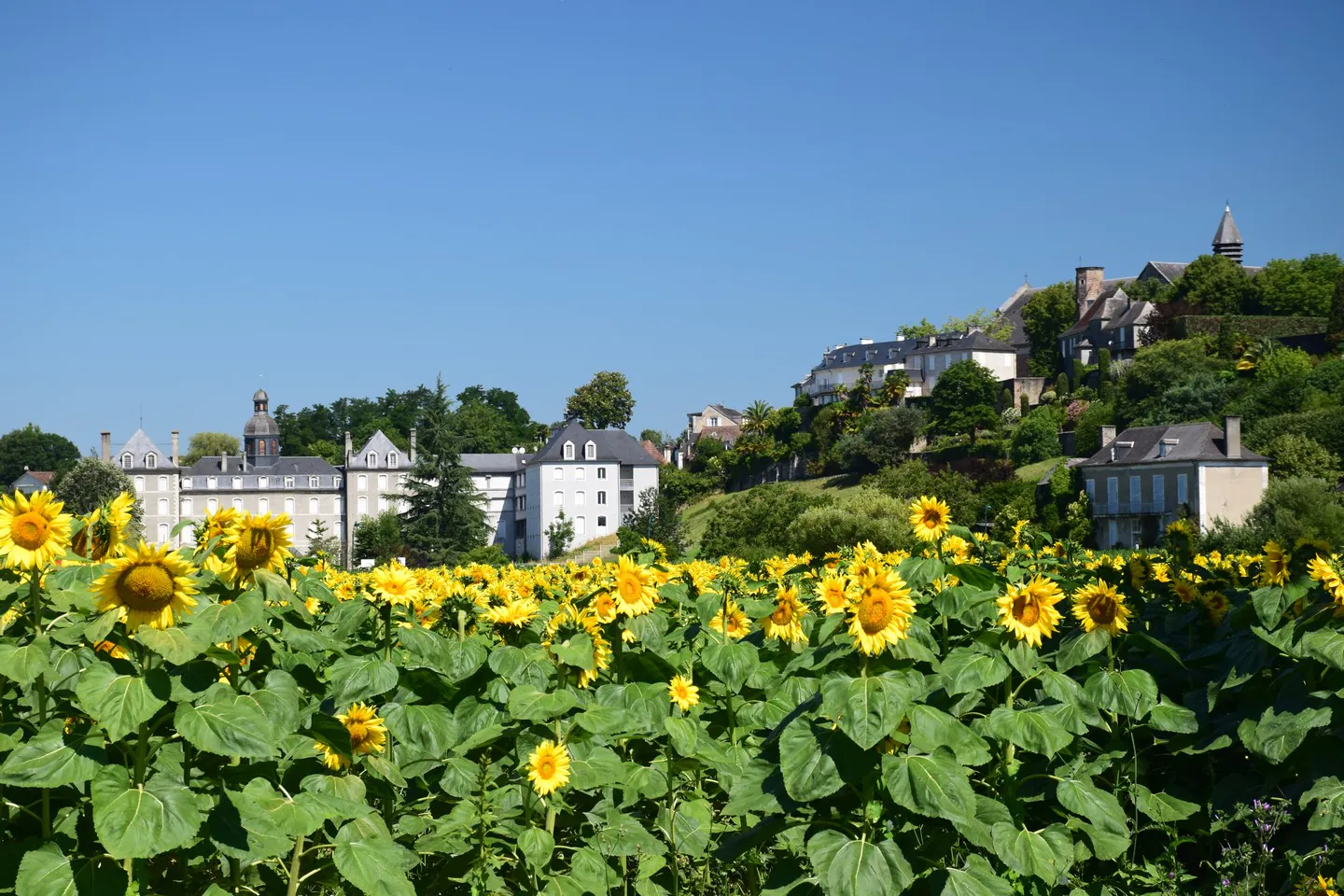 Lescar Cité et nature Lescar Nouvelle-Aquitaine