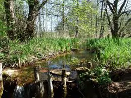 Le Marais de Bonnefont VTT Padirac Occitanie