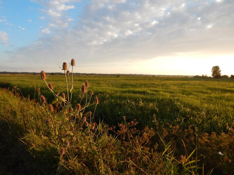 Randonnée De ponts en passerelles Longueville Normandie