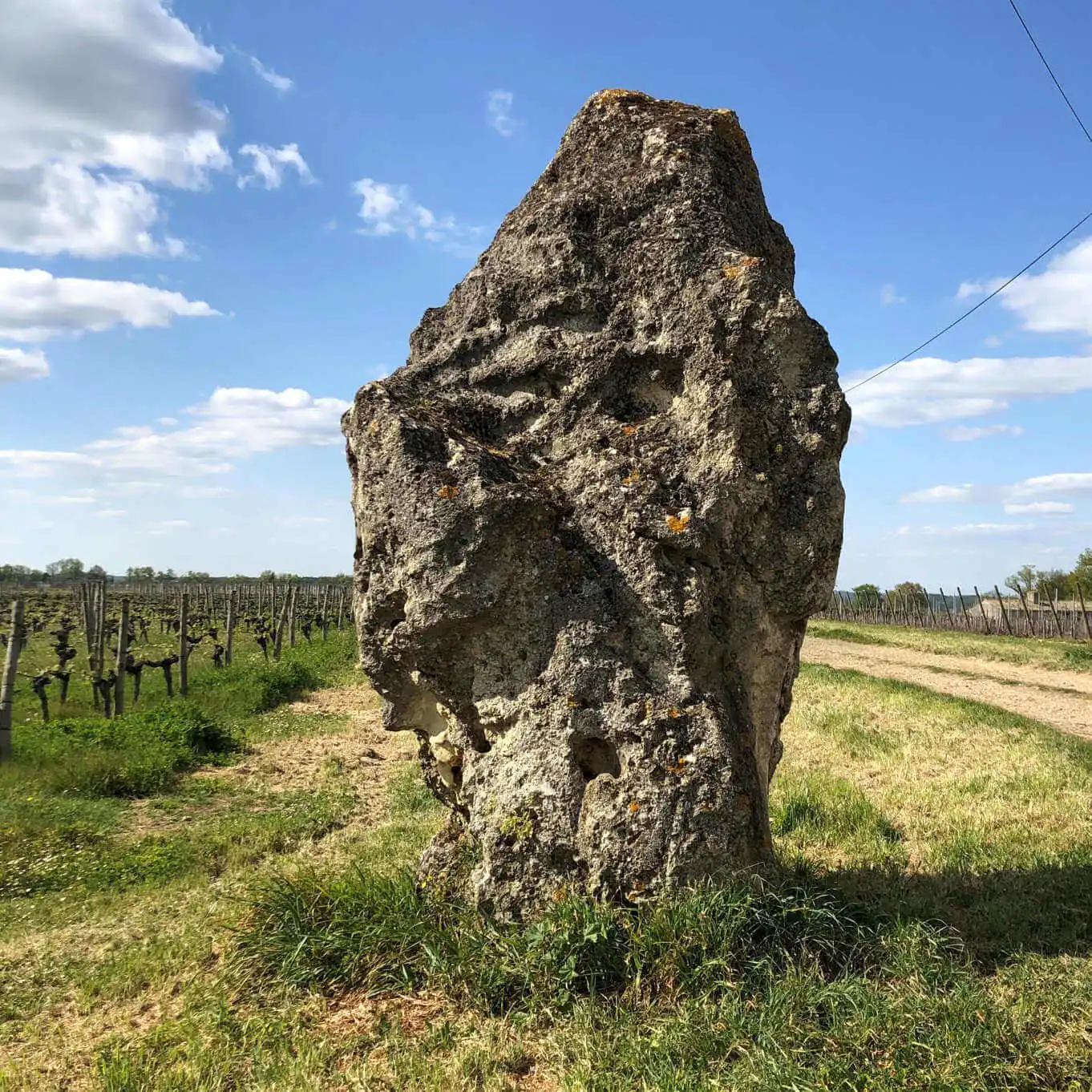 Entre bois et vignes Sainte-Radegonde Nouvelle-Aquitaine