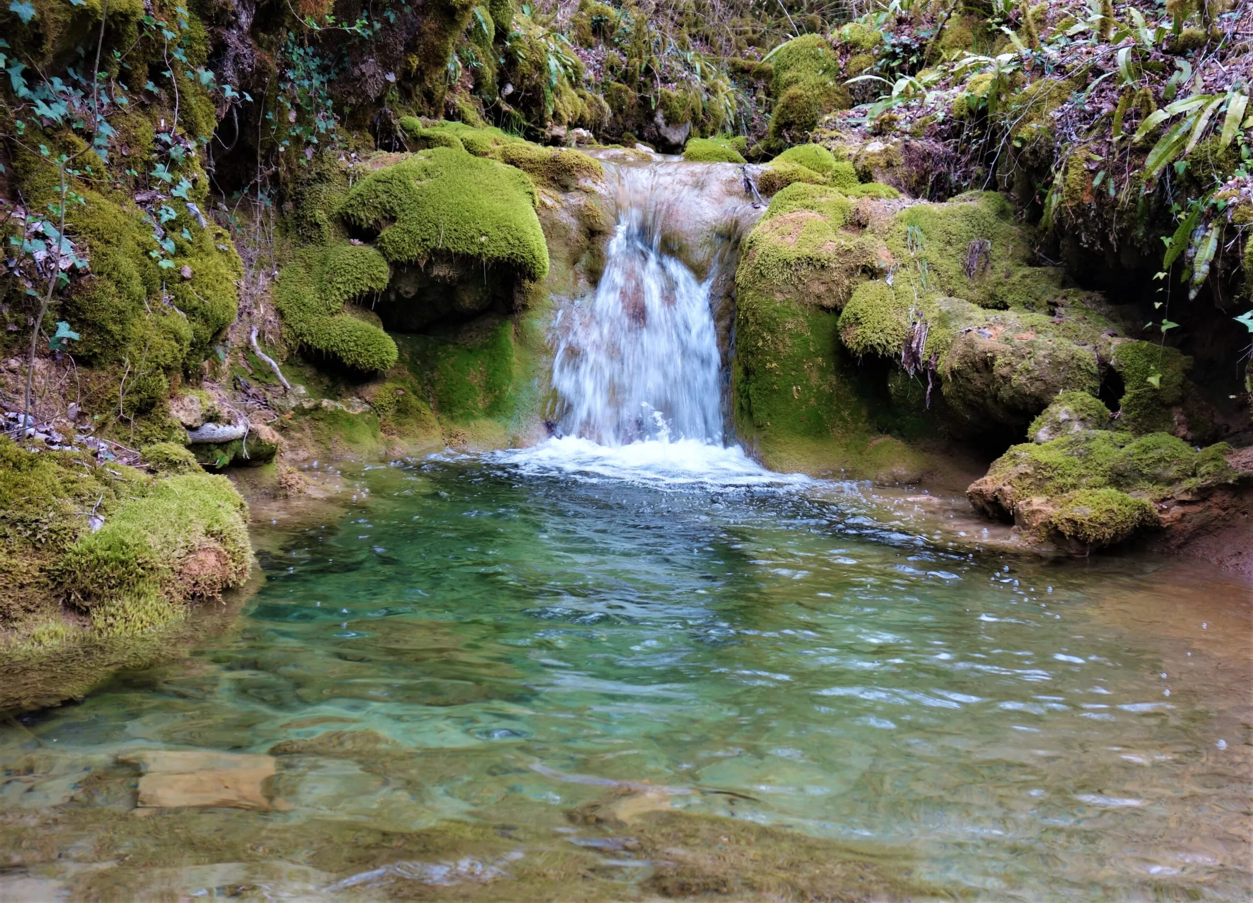 Le Chemin du ruisseau qui se perd Sabadel-Lauzès Occitanie