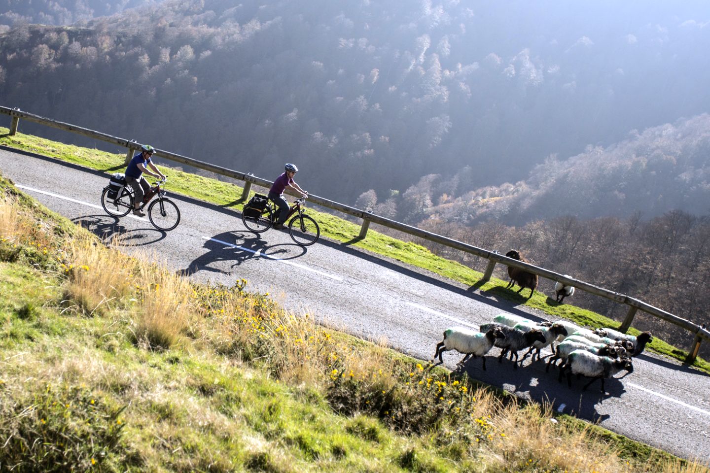 Col d'Arnosteguy Saint-Jean-Pied-de-Port Nouvelle-Aquitaine