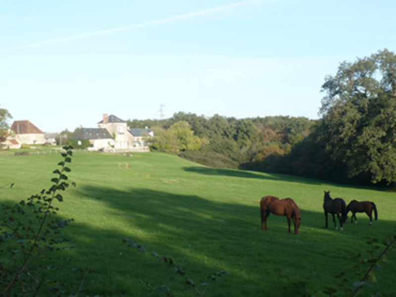 La Brenne à cheval circuits en marguerite au départ du domaine de Montgenoux Prissac Centre-Val de Loire