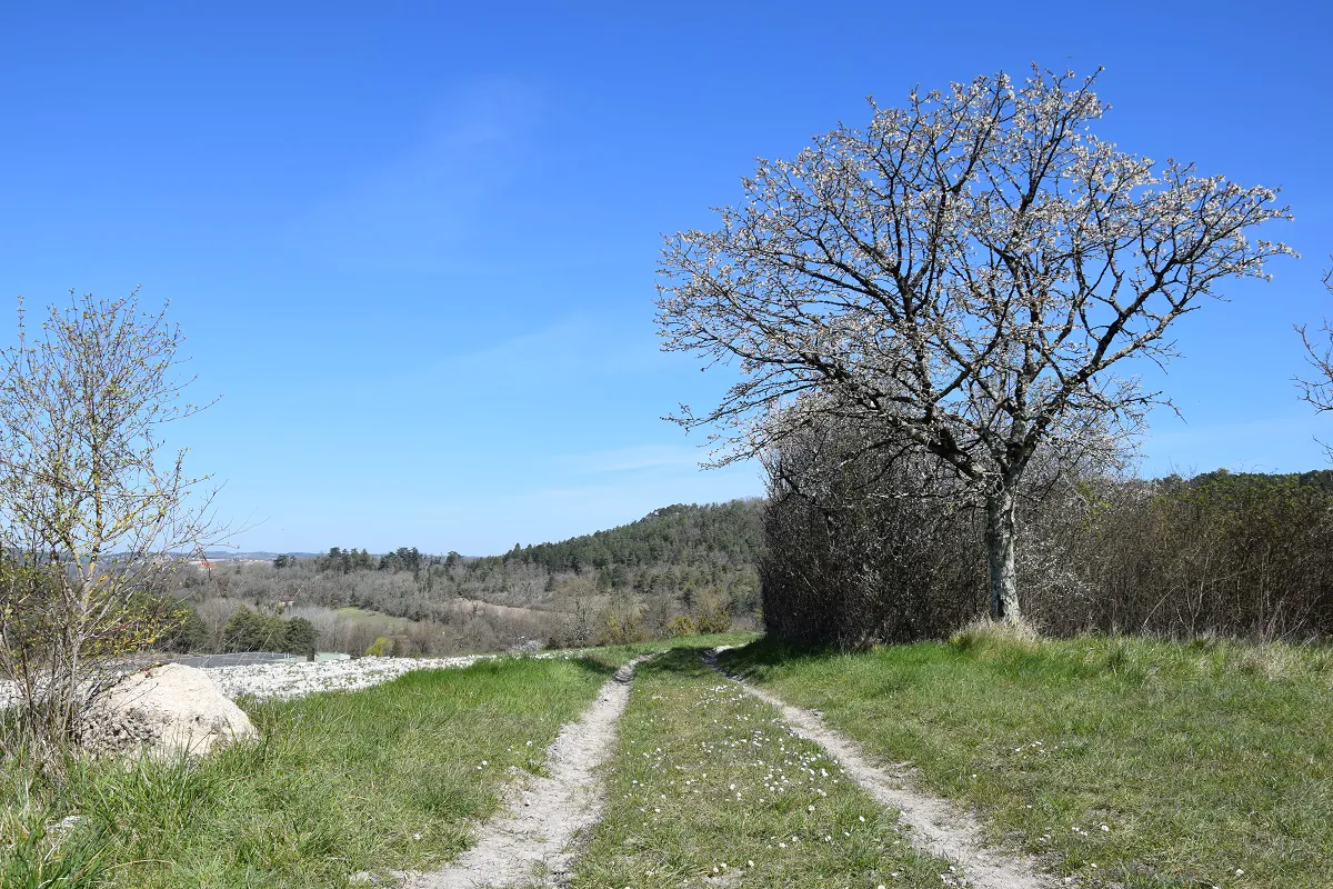 Boucle des Truffières à Montrem Montrem Nouvelle-Aquitaine