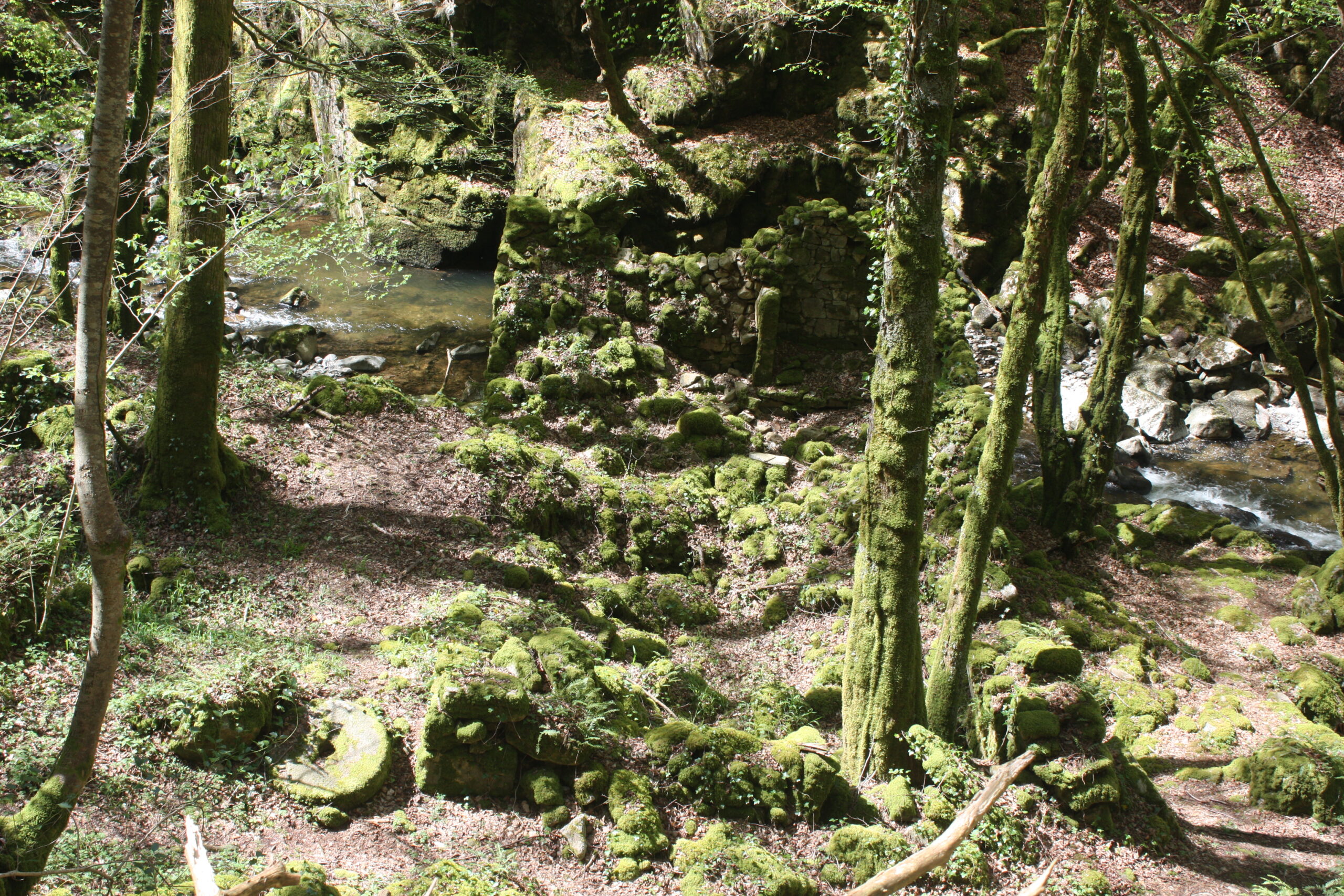 Au Pays des Verriers Sousceyrac-en-Quercy Occitanie