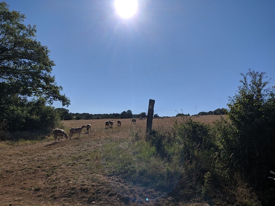 VTT Circuit 4 Les Trois Châteaux Luc-la-Primaube Occitanie