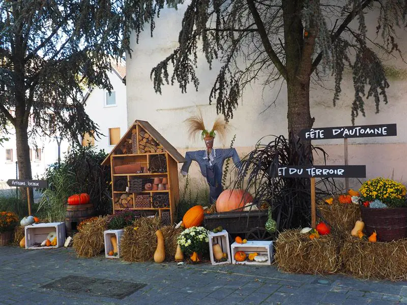 Fête d'automne et du terroir