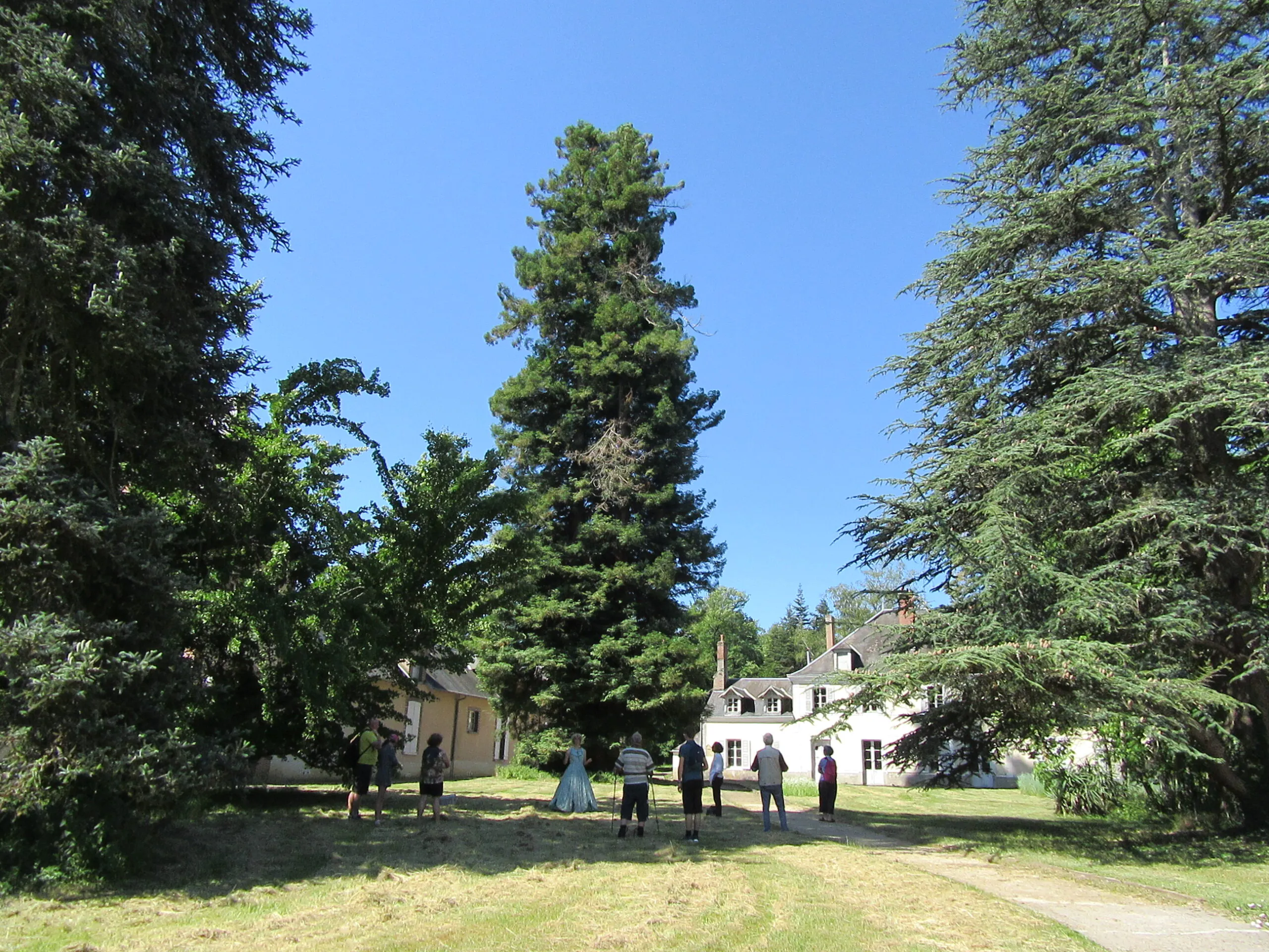 Ouverture de l'Arboretum des Barres