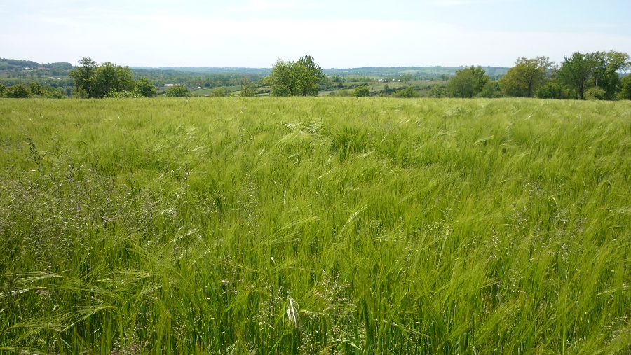 Les Landes Rignac Occitanie