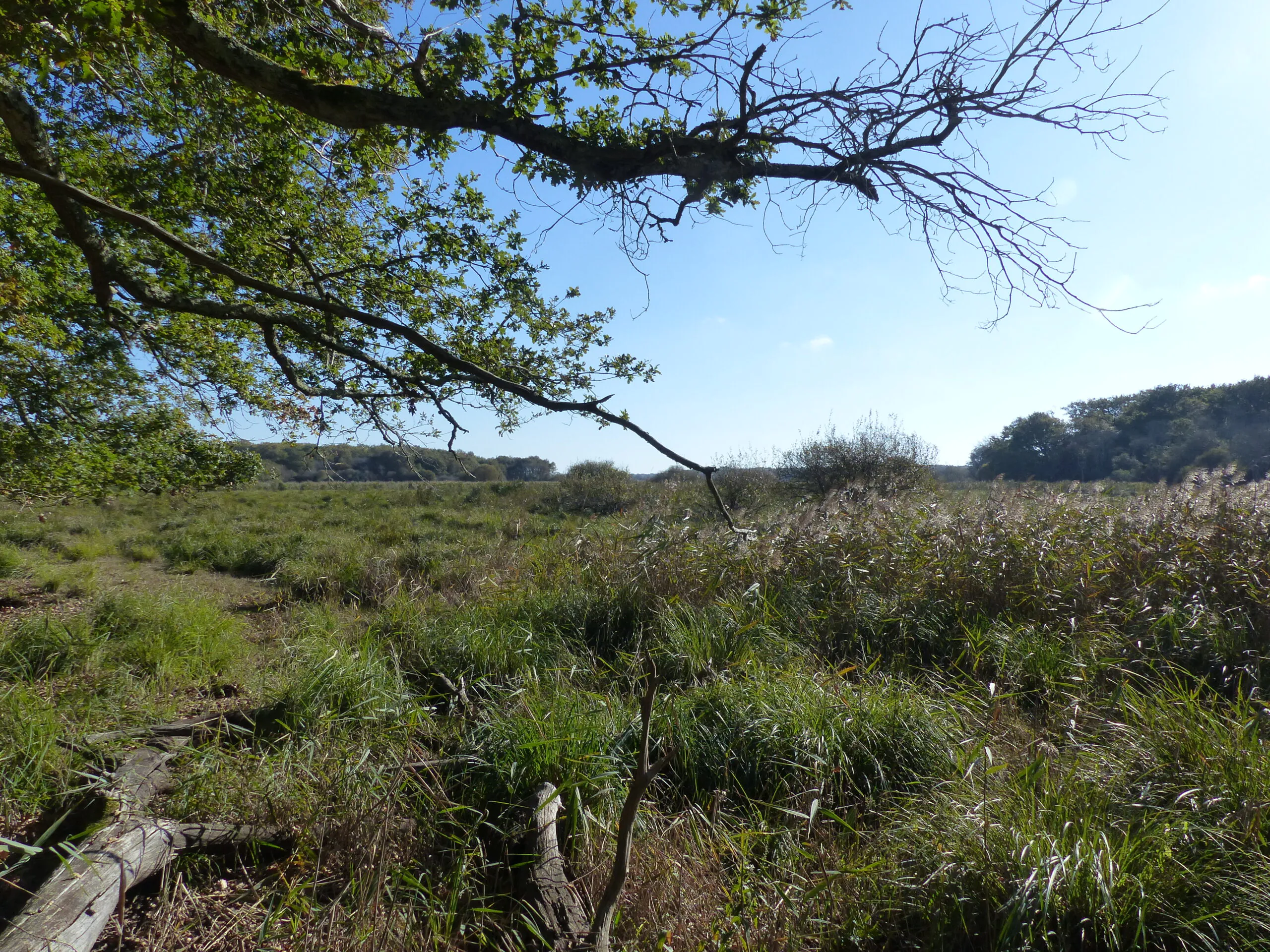 Le sentier du Marais du Gua Vensac Nouvelle-Aquitaine