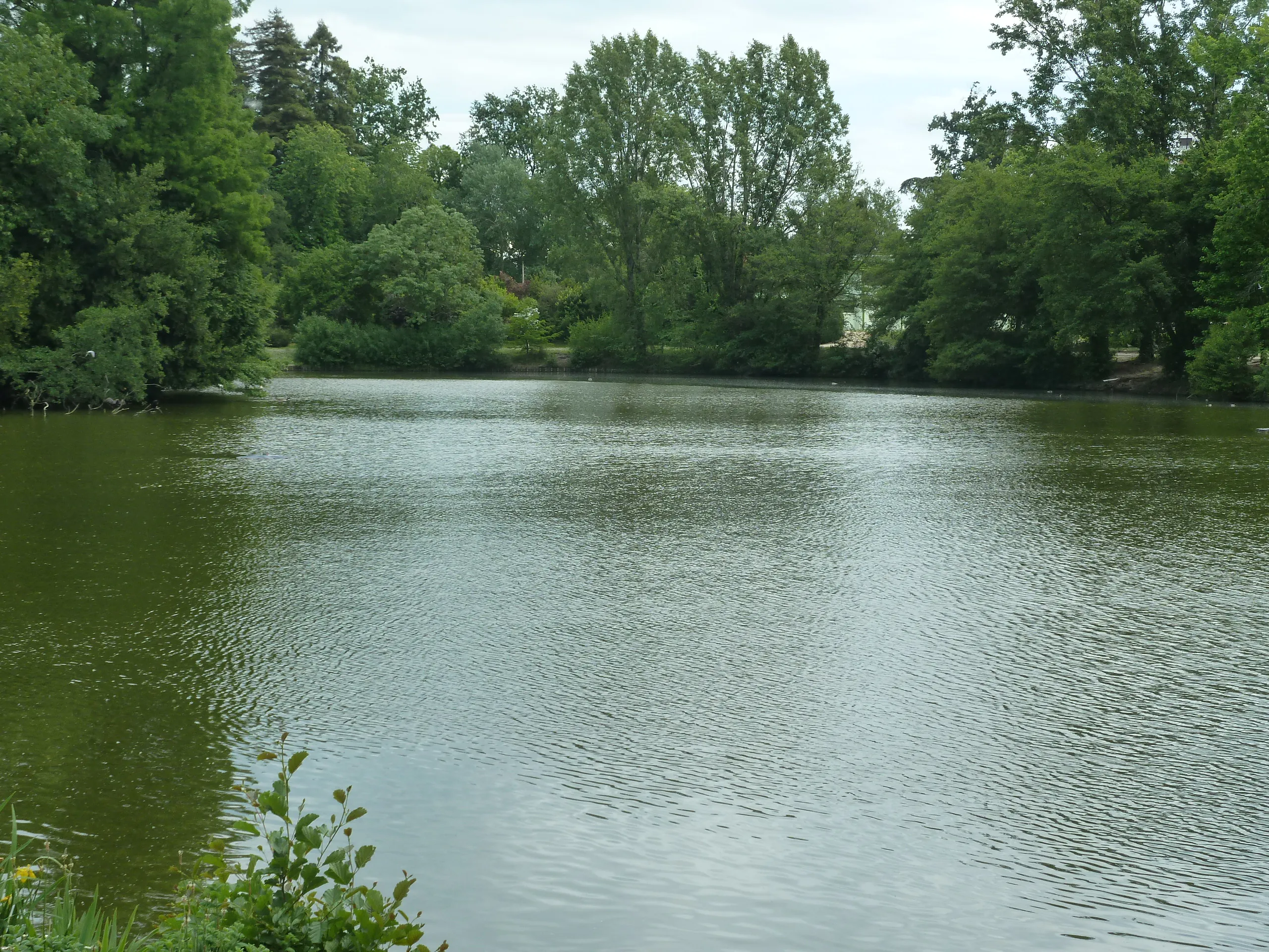 Balade à roulettes Le Parc Bourran Mérignac Nouvelle-Aquitaine