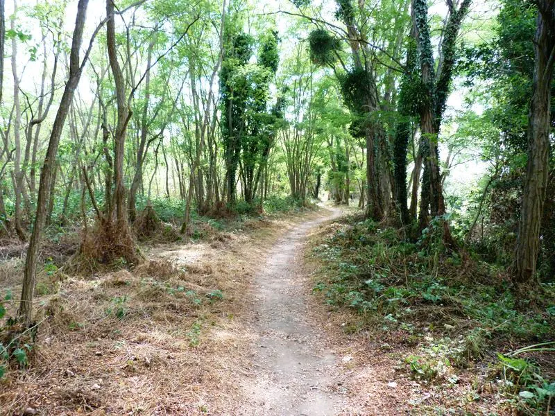 La Pointe de Courpain Saint-Pryvé-Saint-Mesmin Centre-Val de Loire