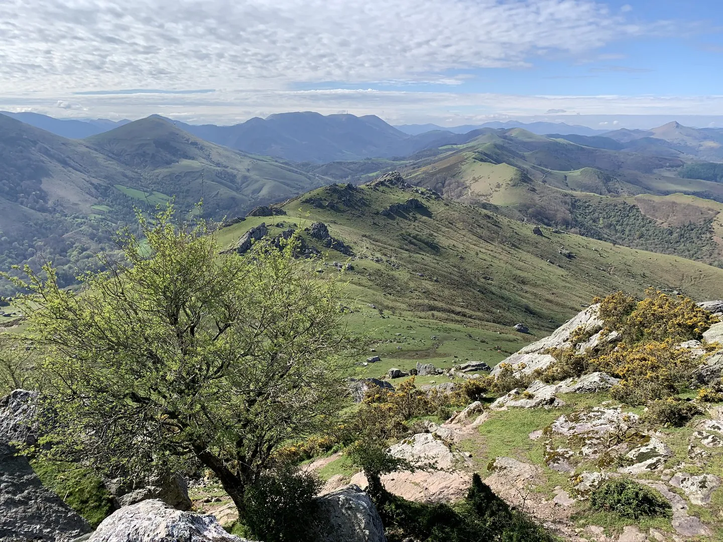 Circuit de la montagne Trail Espelette Nouvelle-Aquitaine