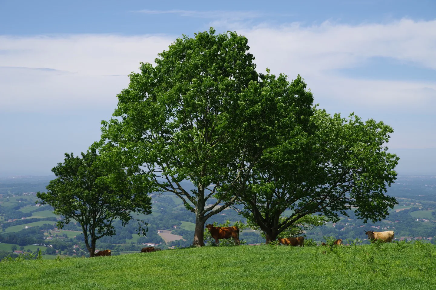 Ezkandrai Espelette Nouvelle-Aquitaine