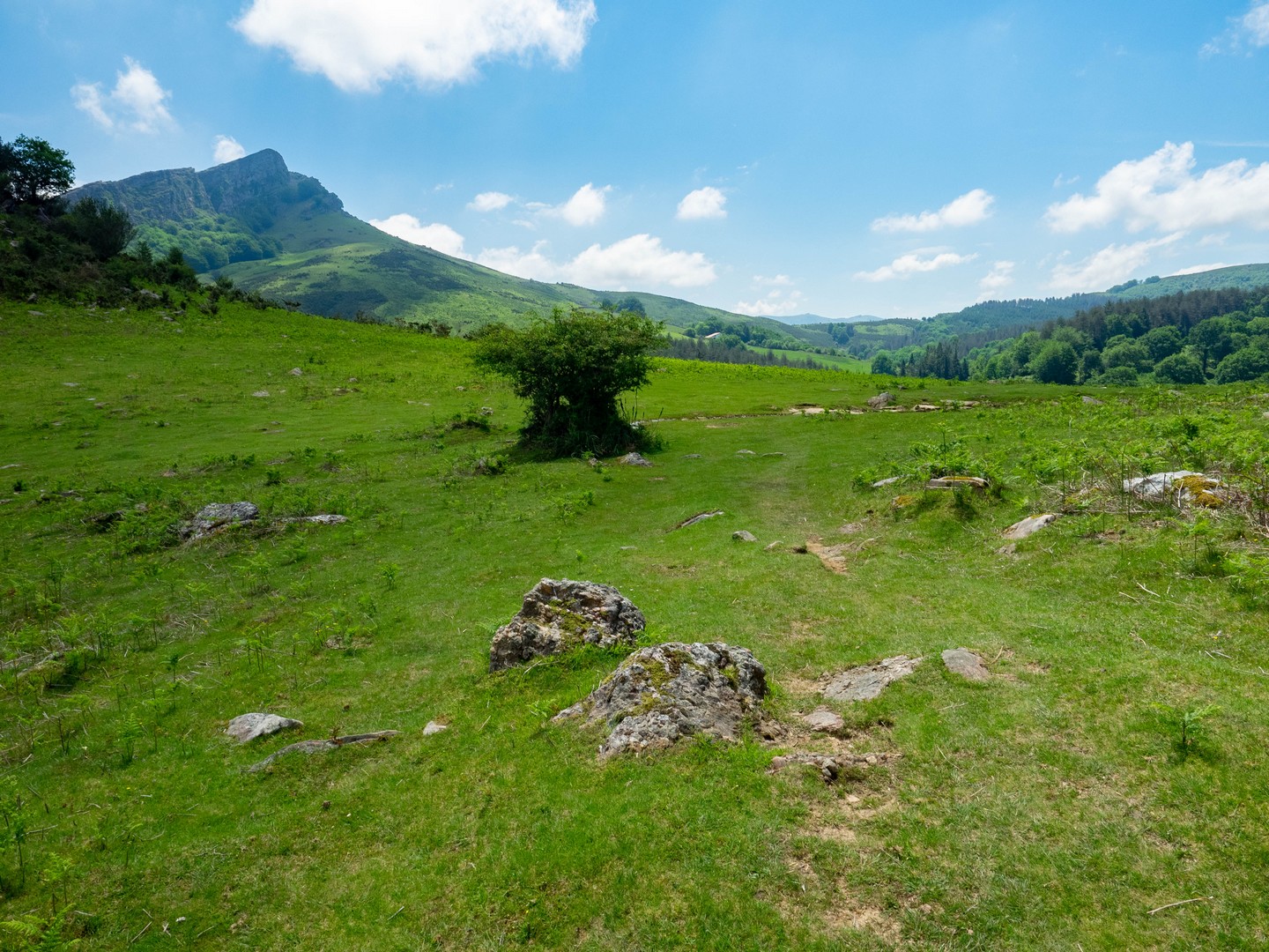 Circuit des palombières / Usategietako itzulia Trail Sare Nouvelle-Aquitaine