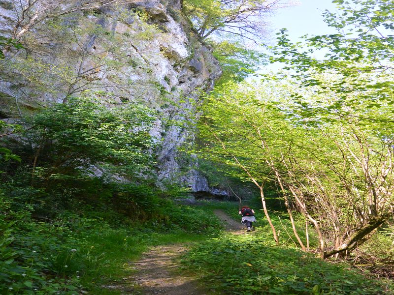 Dans les pas des Hommes de Lascaux Terrasson-Lavilledieu Nouvelle-Aquitaine