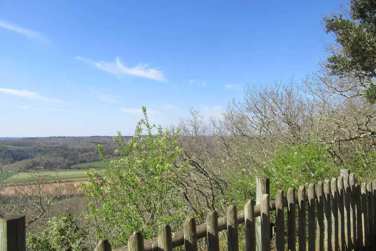 Point de vue sur la Vallée de la Vézère à Campagne Campagne Nouvelle-Aquitaine